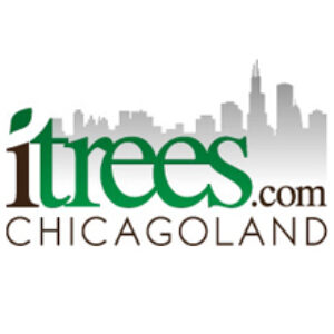 Group logo of Birch Tree